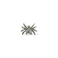 Spider Küpe Mini