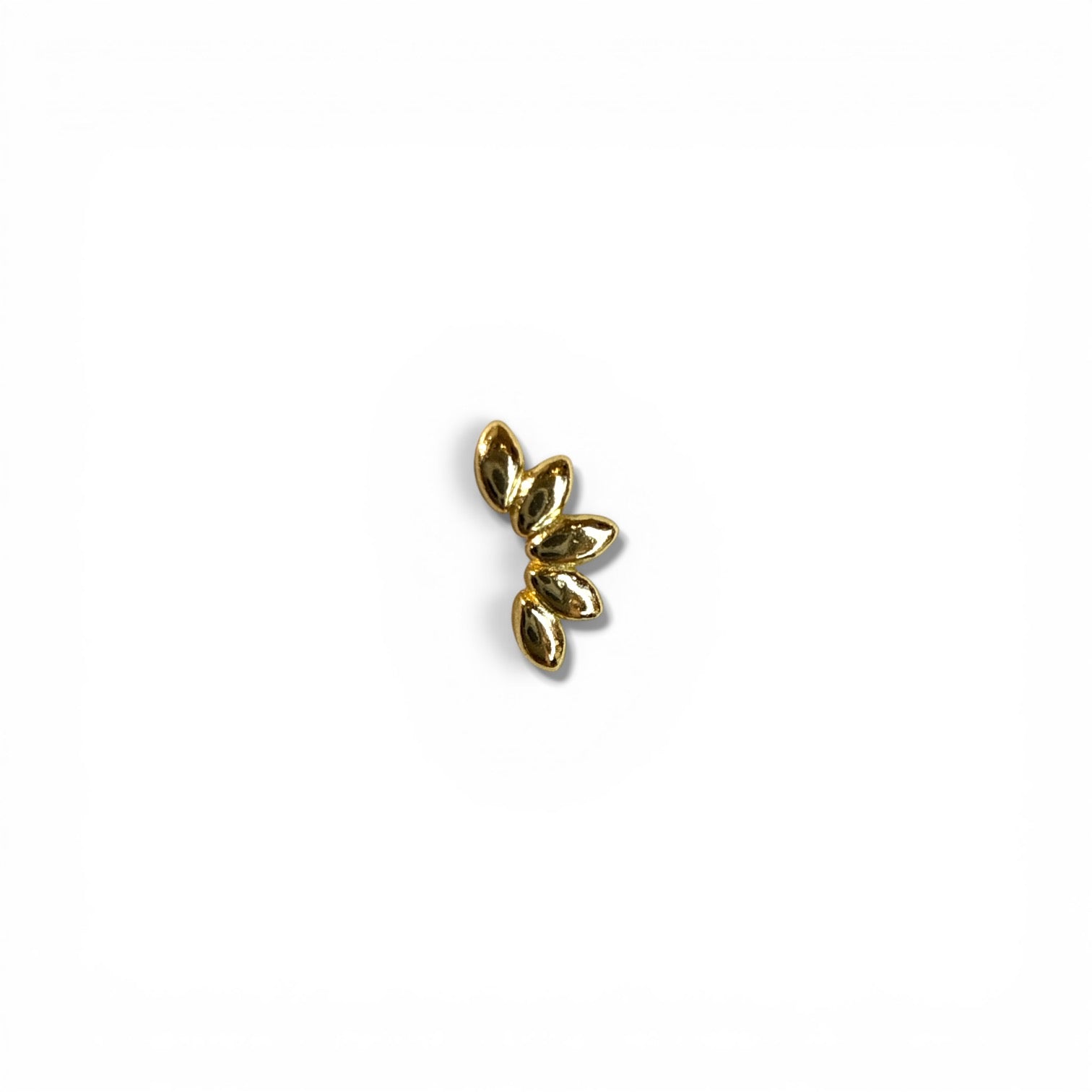 Sole Kruvasan Piercing