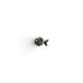 Sole Balık Piercing