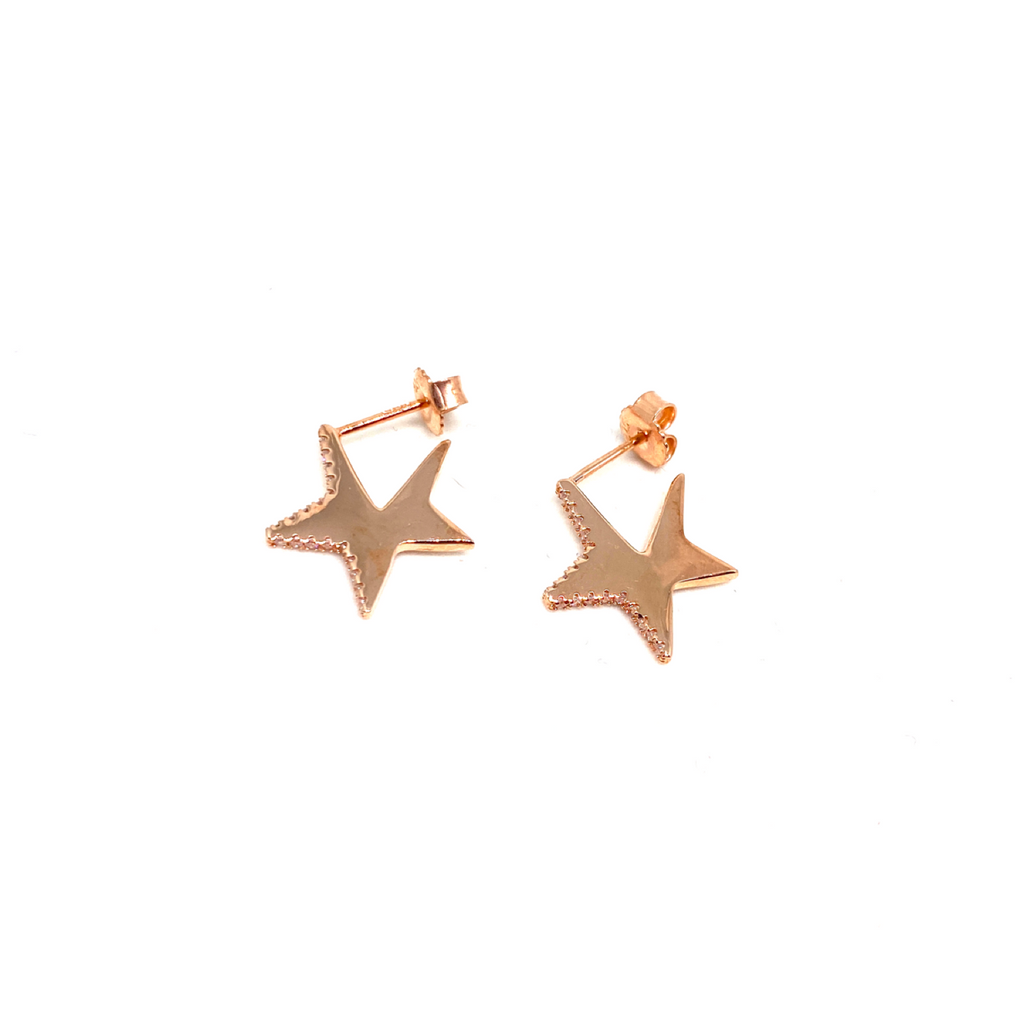 Kadın Gümüş Yassı Yıldız Küpe Küçük star 925 ayar rose