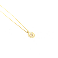 Kadın Gümüş Kutup Yıldızı Minimal Plaka Kolye madalyon Altın Görünümlü 925 ayar