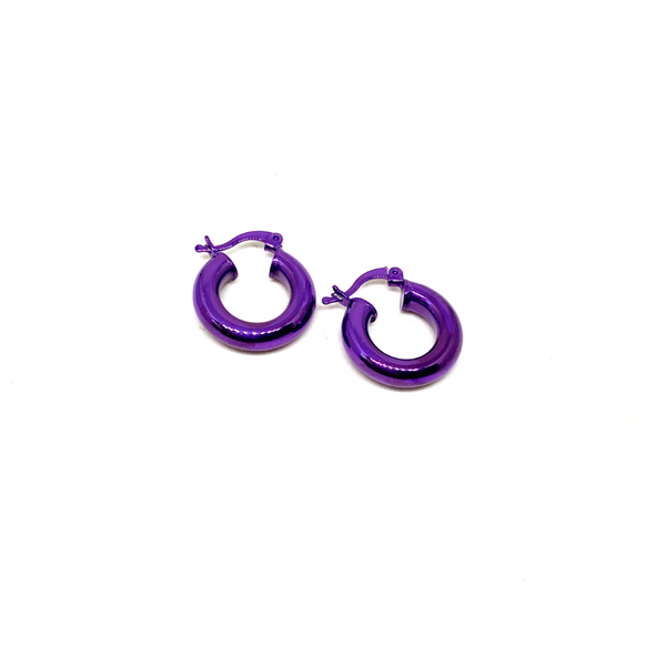 Small Metallic Colored Hoop Earrings